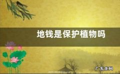 地钱是保护植物吗