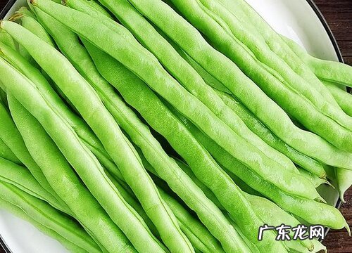 豆角是什么植物