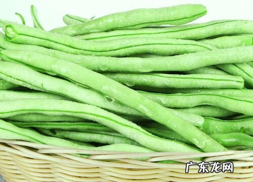 豆角是什么植物