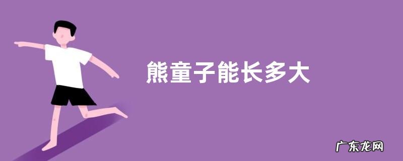 熊童子能长多大