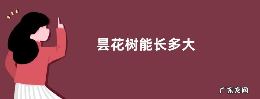 昙花树能长多大