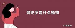 曼陀罗是什么植物
