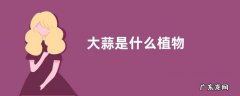 大蒜是什么植物