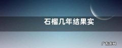 石榴几年结果实
