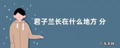 君子兰长在什么地方 分布在哪些地区