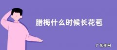 腊梅什么时候长花苞