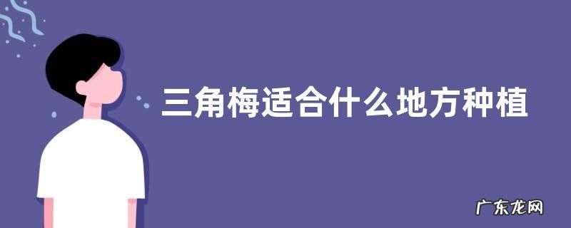 三角梅适合什么地方种植
