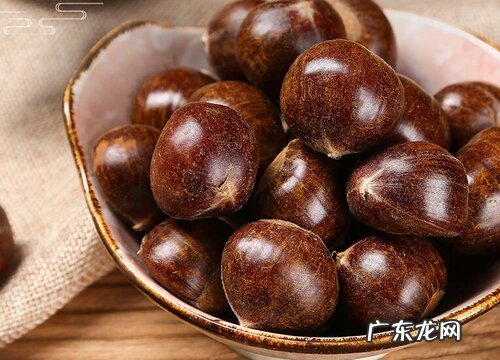 栗子是什么植物