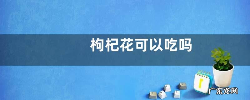 枸杞花可以吃吗