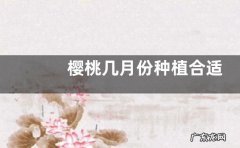 樱桃几月份种植合适
