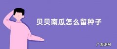 贝贝南瓜怎么留种子