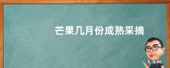 芒果几月份成熟采摘