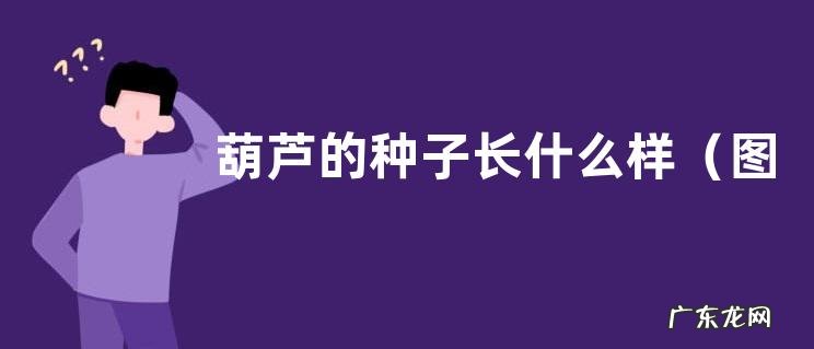 图片 葫芦的种子长什么样