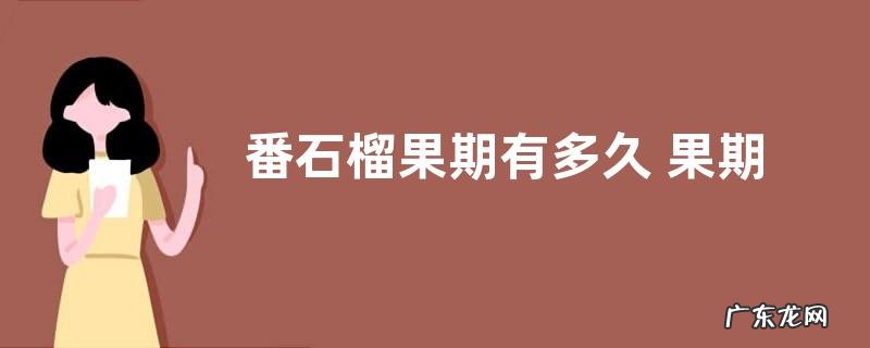 番石榴果期有多久 果期养护与管理方法