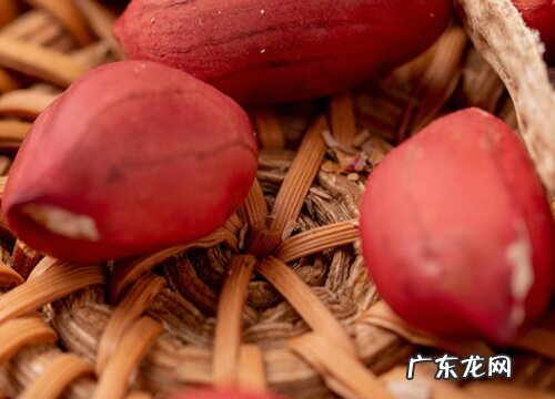 花生几月份成熟采摘