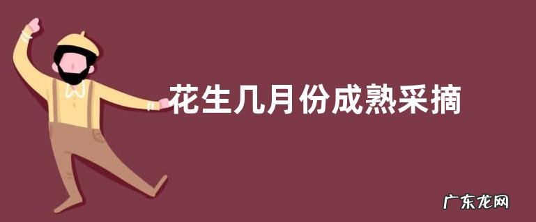 花生几月份成熟采摘
