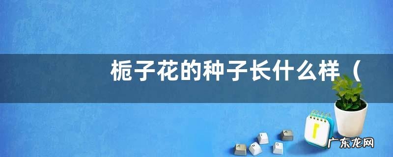 图片 栀子花的种子长什么样