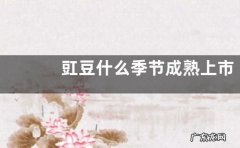 豇豆什么季节成熟上市
