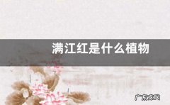 满江红是什么植物