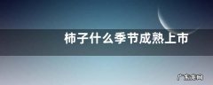 柿子什么季节成熟上市