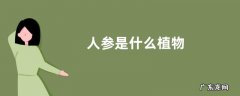 人参是什么植物