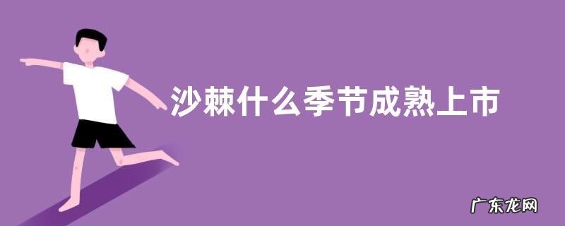 沙棘什么季节成熟上市