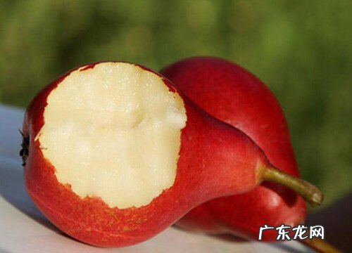 红啤梨什么季节成熟上市