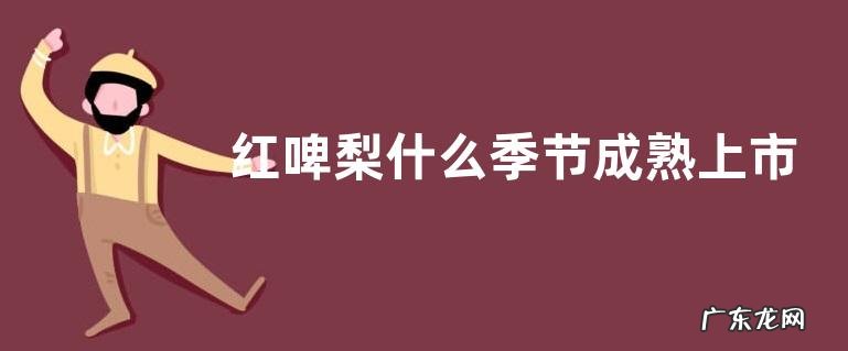 红啤梨什么季节成熟上市