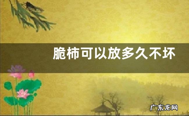 脆柿可以放多久不坏