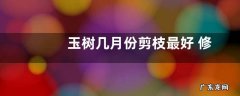 玉树几月份剪枝最好 修剪的最佳时间是几月份