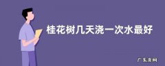 桂花树几天浇一次水最好