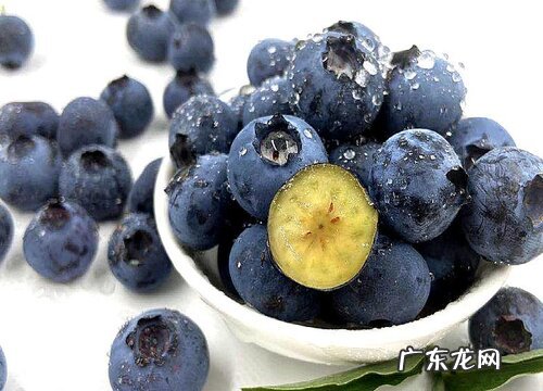蓝莓几月份成熟采摘
