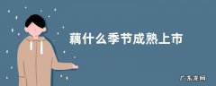 藕什么季节成熟上市