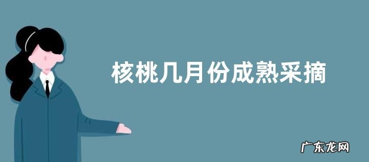 核桃几月份成熟采摘