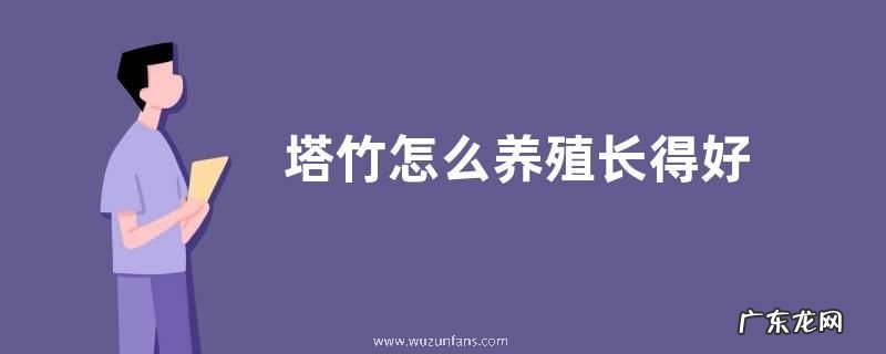 塔竹怎么养殖长得好