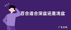 百合适合深盆还是浅盆