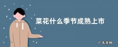 菜花什么季节成熟上市