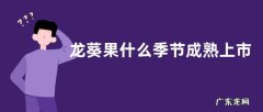 龙葵果什么季节成熟上市