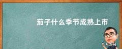 茄子什么季节成熟上市