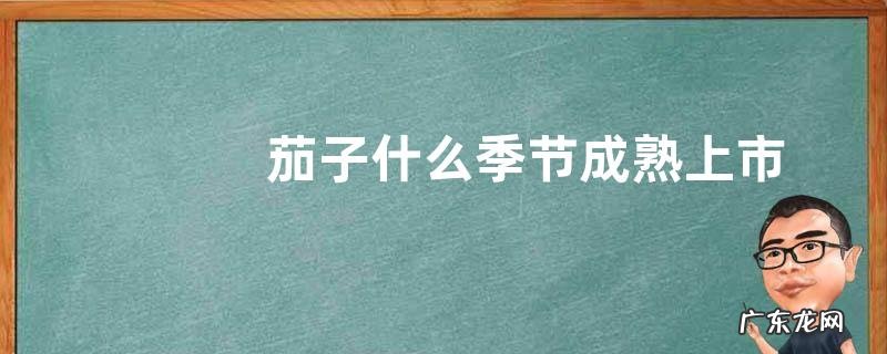 茄子什么季节成熟上市
