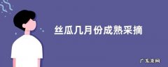 丝瓜几月份成熟采摘