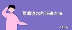 葡萄浇水的正确方法