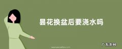 昙花换盆后要浇水吗