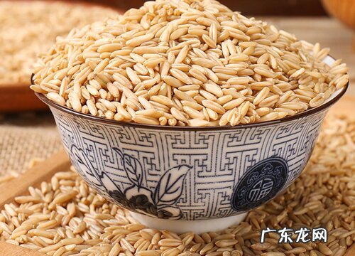燕麦几月份成熟采摘