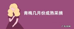 青梅几月份成熟采摘