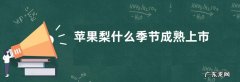 苹果梨什么季节成熟上市