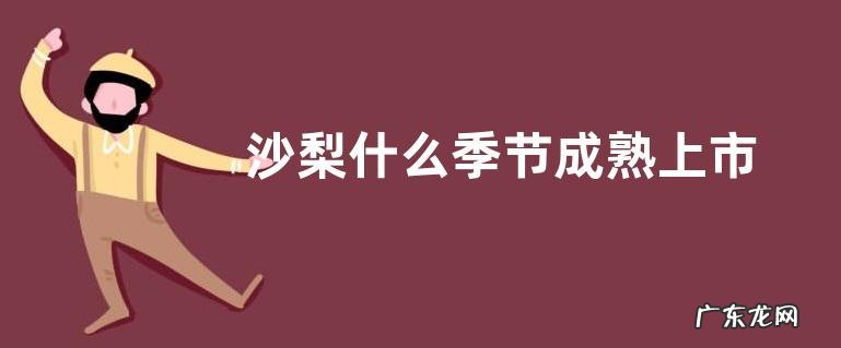 沙梨什么季节成熟上市
