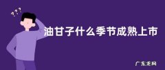 油甘子什么季节成熟上市