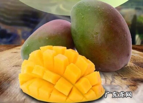 凯特芒什么季节成熟上市