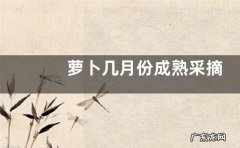 萝卜几月份成熟采摘